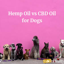 Cbd oil that is used for pets is the same formulation that is used by adults. Wholesale Pet Supplies Hidden Secret To Find Cheap Pet Supplies