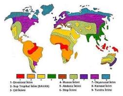 Tundra, ortalama çöl bir gibi yılda yaklaşık 10 inç yağış alır. Tundra Iklimi Nedir