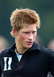 HARRY POTTER™ Harry Potter and the Half-Blood Prince Silver Coin