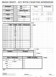 Nurse Brain Sheets Icu With Charting Reminders Nurse