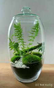 Mahmut Kirnik 2617 Terrariumideasunique Succulent Terrarium Mini Garden Garden Terrarium