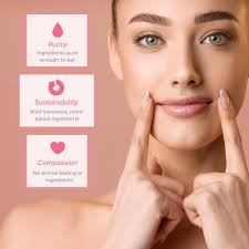 Amazon.com : Ellovi Natural Lip Butter Lip Balm