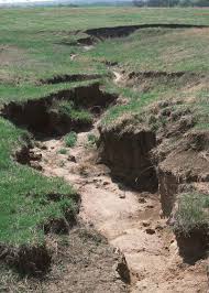 Plant And Soil Sciences Elibrary Ap Environmental Science Environmental Science Soil Conservation
