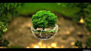 Download hd hd nature wallpapers best collection. Free Download Home Pc Wallpaper Nature Wallpapers Nature Wallpaper Latest 1920x1080 For Your Desktop Mobile Tablet Explore 59 Beautiful Pc Wallpaper Beautiful Pc Wallpaper Beautiful Wallpapers For Pc Free