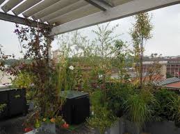 Clôture longue (+ de 55 km). Quelle Plante Pour Se Proteger Du Regard Des Voisins Cote Maison