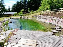 Piscine Naturelle La Piscine Ecologique Sans Entretien