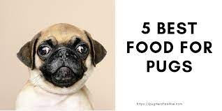 Purina beneful incredibites for small dogs with real beef dry dog food purina beneful incredibites with real beef recipe is suitable for small breeds. Best Food For Pugs Detailed Review And Buyers Guide Pug Merchandise