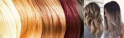 Have you ever dabbled in hair removal? Haircoloring Milady Ch 21 Diagram Quizlet
