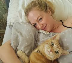 This is my cat Flash. He went missing from my daughter's house in Tonbridge  Kent. My daughter searched for him and put up loads of posters but to no  avail. We think