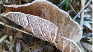 Aug 17, 2020 · massas de ar frio fortes ocorrem virtualmente quase todos os anos no sul do brasil, mas esta será excepcionalmente forte e abrangente para a segunda metade do mês de agosto. Ctpkarbuf79usm
