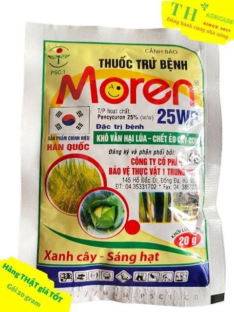 Moren 25WP