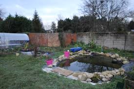 Si vous possédez un terrain accidenté, vous pouvez intégrer à votre bassin un petit ruisseau avec plan d'une cascade de bassin avec étanchéité. Faire Un Bassin Artificiel Dans Son Jardin Aquaponie