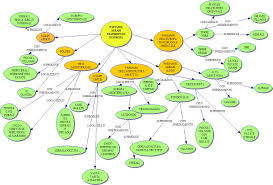 Mappe Agraria Ecologia Agraria Agronomia Zootecnia Libro Di Scuola