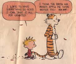 Calvin & hobbes the series thanksgiving special! Calvin Hobbes Love Fall Learn More Every Day