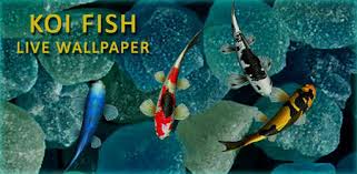 Fish live wallpaper ocean water wallpapers is a free wallpapers app with hd backgrounds. 3d Koi Fish Wallpaper Hd Fish Live Wallpapers Free For Pc Free Download Install On Windows Pc Mac