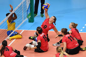 3,806 athletes from 136 national paralympic committees competed. F6xwxjipxe Lvm