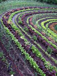 Eden Project Garden Layout Vegetable Garden Layout Potager Garden