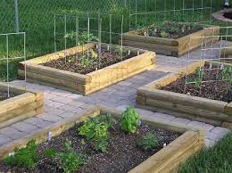 We did not find results for: Vegetable Garden Layout Basics Veggie Gardener Forum