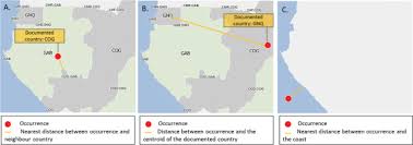 Image result for Acacia adenocalyx