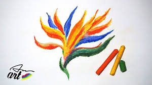 Drawing Bird Of Paradise Images How To Draw A Bird Of Paradise With Oil Pastels Youtube Bird Drawings Oil Pastel Flower Drawing