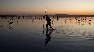 Maybe you would like to learn more about one of these? Science Chamber Of Horrors The Byford Dolphin Incident