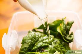 Bagaimana cara menyiapkan sayur bayam bergizi. Cara Menyiapkan Bayam 13 Langkah Dengan Gambar Wikihow