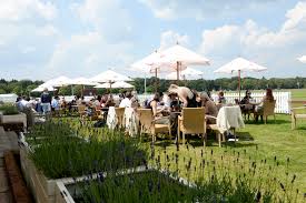 Committee Cup (Season 2025) - Guards Polo Club