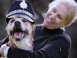 Sunday Focus: Best photos from the week