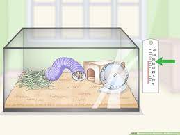 Soda pets 18.303 views8 months ago. 3 Ways To Use An Aquarium As A Mouse Cage Wikihow