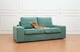 7 Proven Ways To Cat Proof Your Sofa Comfort Works Blog Design Inspirations