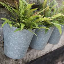 Buy Set of three galvanised wall planters: Delivery by Crocus