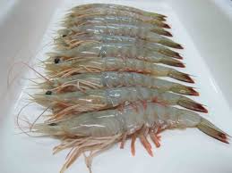 Bahan makanan yang menjadi favorit banyak orang ini ternyata kandungan gizinya. Udang Laut L Pasarman