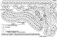 Orchard Tree Spacing Chart Spacing Trees By Limiting