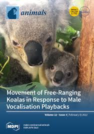 yane soares & yane soares oficial nua👹 Conheça Yasmin Brunet e suas  fortunas