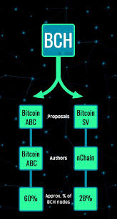 Bitcoin (₿) is a cryptocurrency invented in 2008 by an unknown person or group of people using the name satoshi nakamoto. Bitcoin Cash Bch Hard Fork 12 Things You Should Know Blocklr