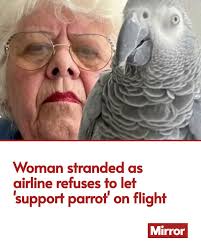 She was told to "get rid" of Plucky at the gate 😯