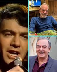 Neil Diamond Concert Experiences and Memories