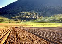 Peter grossmann,germanul care controlează firma grossmann land, a semnat un acord la sfârşitul lunii aprilie pentru a cumpăra un lot de 110 hectare în arad de teren arabil de la un grup de investitori italieni care operau local prin intermediul firmei. Teren Arabil Ieftin Romania Are Cele Mai Mici PreÈ›uri Din Ue