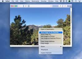 How do you make copies of photos? How To Copy And Save Images From Safari On The Mac