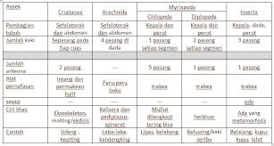 Apa Perbedaan Antara Kelima Kelas Arthropoda Tuliskan Dalam Bentuk Tabel Brainly Co Id
