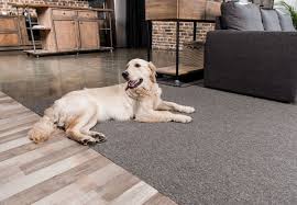 We did not find results for: 6 Dog Proof Flooring Options That Will Hold Up To Your Hound
