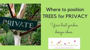 Unlike an interior, the walls of outdoor rooms can be real, implied, or both. Garden Privacy How To Make Your Garden Feel More Private Youtube