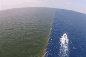 When Two Oceans Meet But Do Not Mix Gulf Of Alaska Two Oceans Meet Alaska