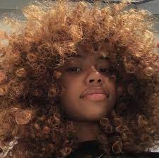 Wild Thang Follow Me For More Natural Hair Styles Easy Dyed Natural Hair Curly Hair Styles