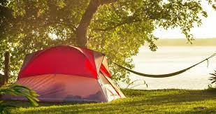 25 Best Camping Spots In Florida
