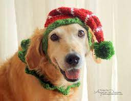 Elf Hat For Dogs Dog Elf Hat Holiday Dog Hat Christmas Hat For Dogs Large Breed Dog Hat Christmas Elf Dog Hat Elf Dog H Dog Holiday Dog Hat Christmas Dog