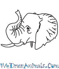 Check spelling or type a new query. How To Draw An Elephant Head