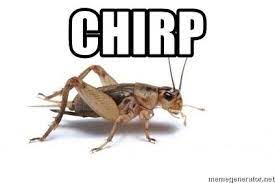 Crickets Chirping Memes