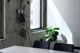 The toxic principle is an irritant sap that can cause mild dermatitis as well as oral pain and mild gastrointestinal upset if ingested. Are Fiddle Leaf Figs Poisonous To Cats Yes Upgrade Your Cat