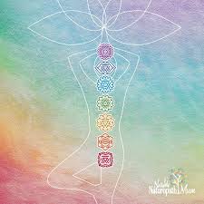 Image result for chakras